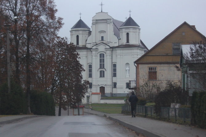 Tomo Markelevičiaus nuotr./Kražiai