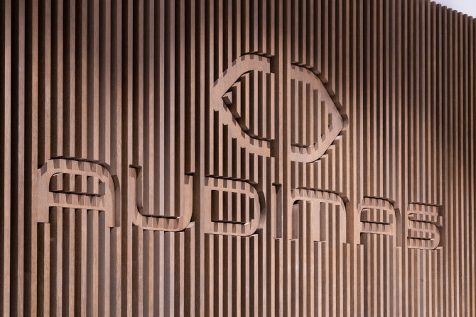 Audimo nuotr./Audimas