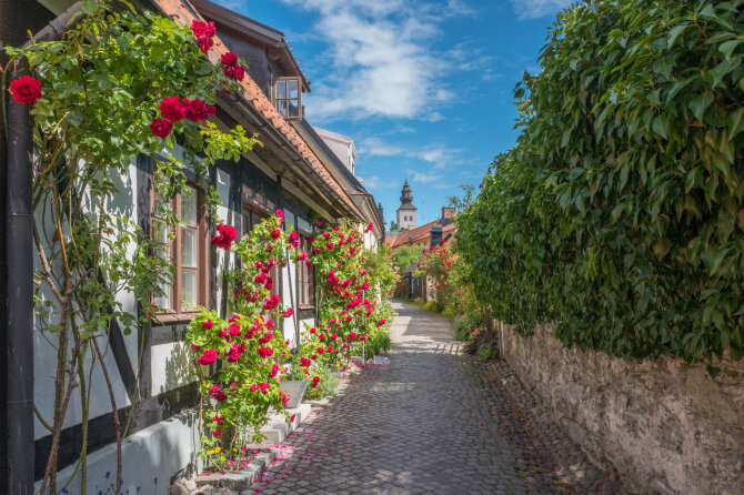 Shutterstock nuotr. / Gotlando sala, Švedija