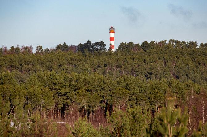 Luko Balandžio / 15min nuotr./Švyturys