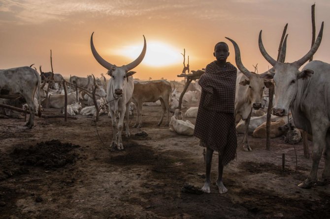 AFP/„Scanpix“ nuotr./Pietų Sudanas