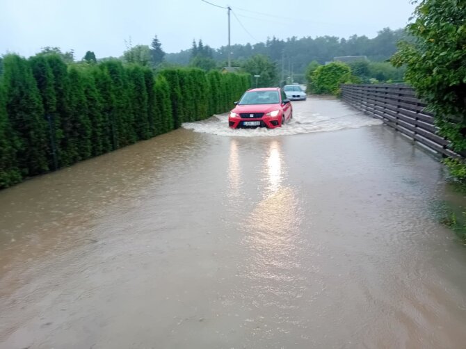 Apsemti Kaišiadorių „Baltojo berželio“ sodai