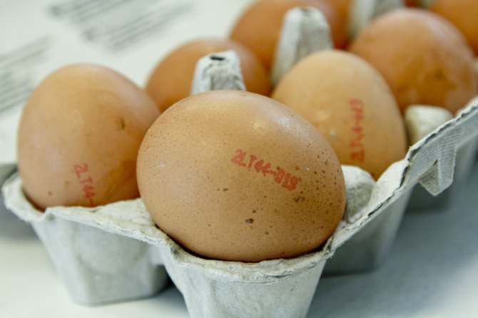 Kiaušinių žymėjimo pavyzdys
