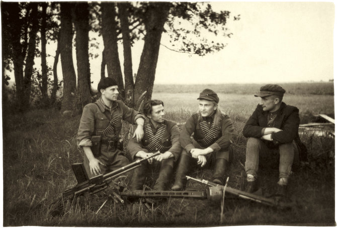 Vyčio apygardos partizanai, 1946 m.
