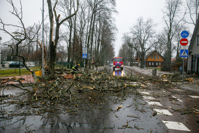 Erikas Ovčarenko/BNS/Palangoje siaučia audra