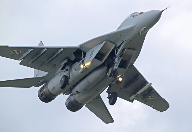 „Imago“/„Scanpix“ nuotr./Lenkijos naikintuvas MiG-29