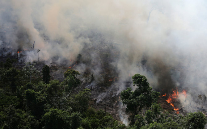 „Reuters“/„Scanpix“ nuotr./Gaisras Amazonės miškuose