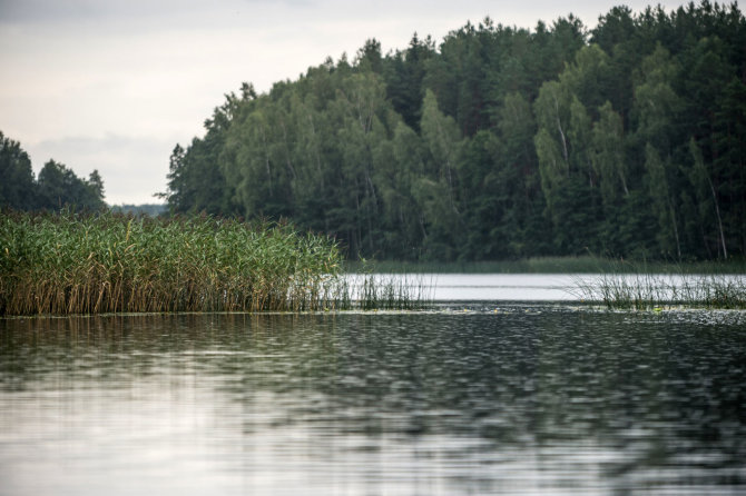 Alfredo Pliadžio nuotr./Prie Antalieptės marių