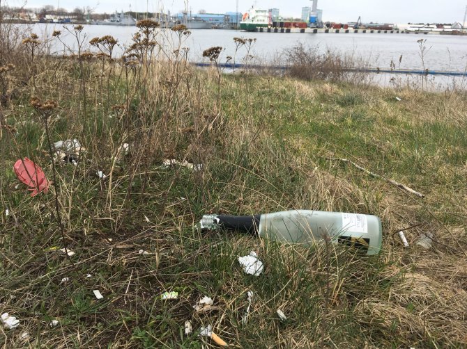 Aurelijos Jašinskienės/15min.lt nuotr./Smeltės botaninis draustinis Malkų įlankoje paverstas šiukšlynu