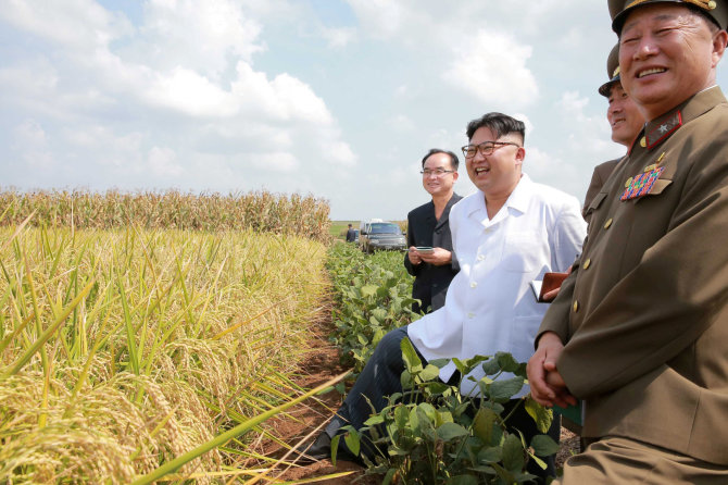 „Reuters“/„Scanpix“ nuotr./Kim Jong Unas su patarėjais