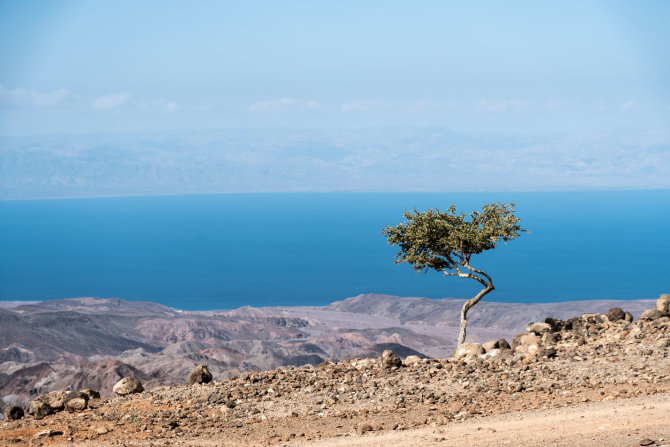 „Shutterstock“ nuotr./Indijos vandenynui priklausanti Tadžuros įlanka, Džibutis, Afrika