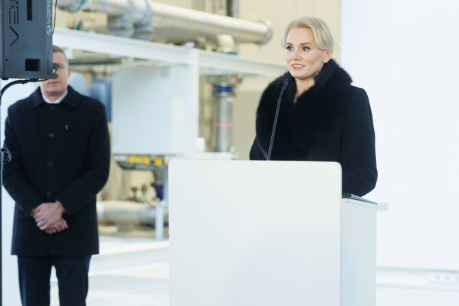 Eriko Ovčarenko / BNS nuotr./Rasa Vitkauskienė