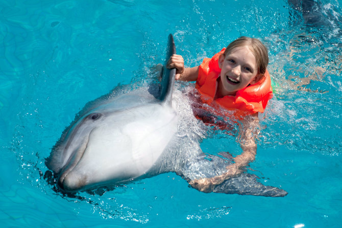 „Fotolia“ nuotr./Mergaitė žaidžia su delfinu