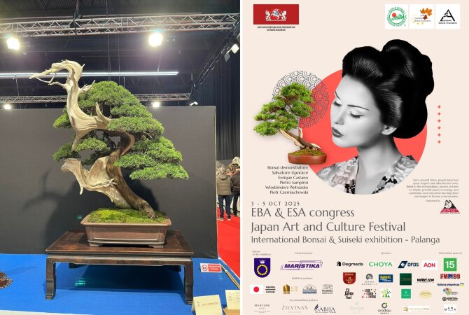K.Ptakausko nuotr./Bonsai paroda Palangoje