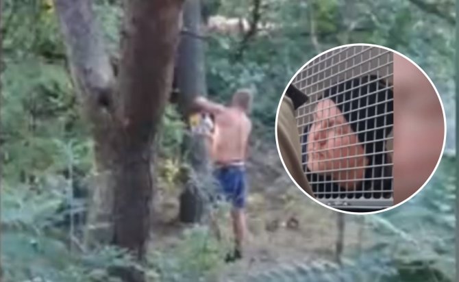 Ekrano kopijų iš LNK reportažų koliažas/Gediminas Filipavičius