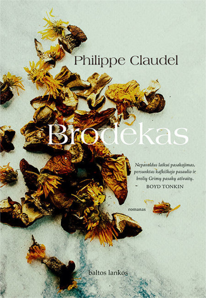 Knygos viršelis/Philippe Claudel „Brodekas”