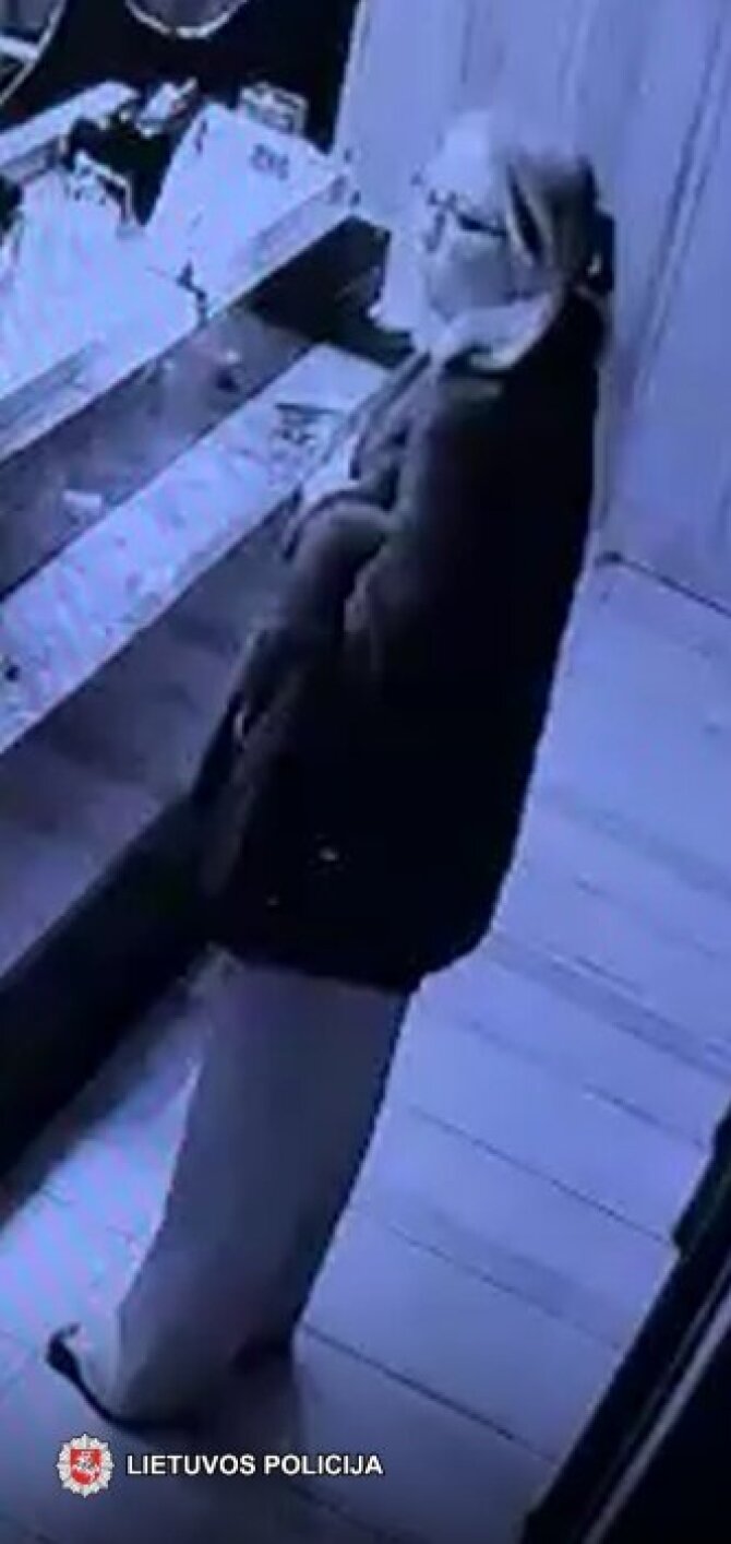 Vilniaus policijos nuotr./Policijos ieškoma moteris