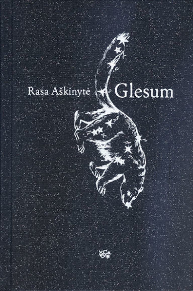 Knygos viršelis/Knygynų lentynas pasiekė naujausias Rasos Aškinytės, „Metų knygos 2014“ laureatės romanas „Glesum“.