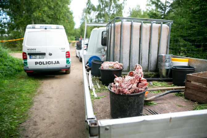 Žygimanto Gedvilos / 15min nuotr./Gyvūnų gynėjų dėmesio sulaukusi veisykla Širvintose