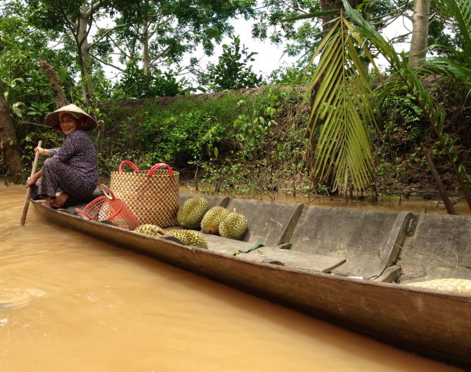 Sandros Voskaitės nuotr./Vietnamas. Mekongo upės delta.