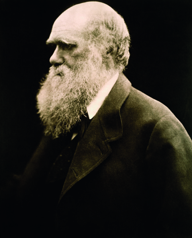 Vida Press nuotr./Charlesas Darwinas, 1868 m.