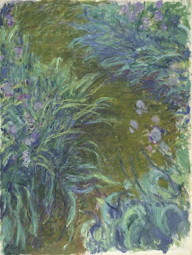 Wikipedia nuotr./Claude Monet „Irisai“