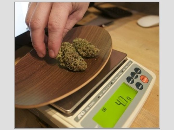 „Reuters“/„Scanpix“ nuotr./Medicininė marihuana JAV