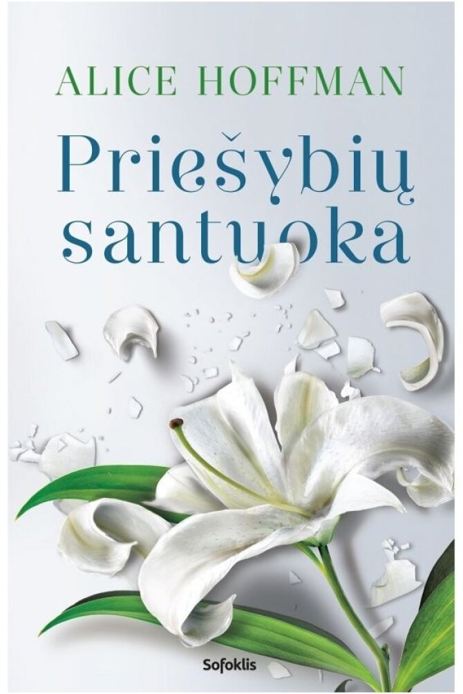 Leidyklos „Sofoklis“ nuotr./Knygos viršelis