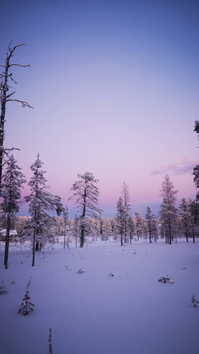 Asmeninio archyvo nuotr./Justinos užfiksuotas Laplandijos kraštovaizdis