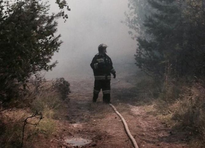 Rusijos ugniagesiai gesina Kuršių neriją/kaliningrad.ru nuotr.