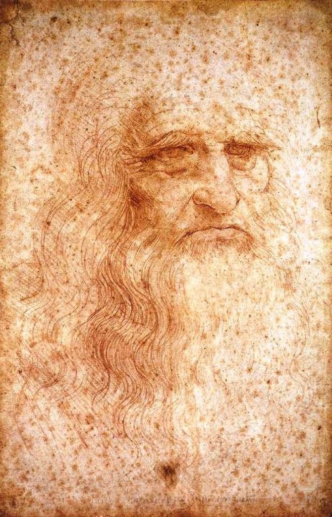 Bestpriceart.com nuotr./Leonardo Da Vinci