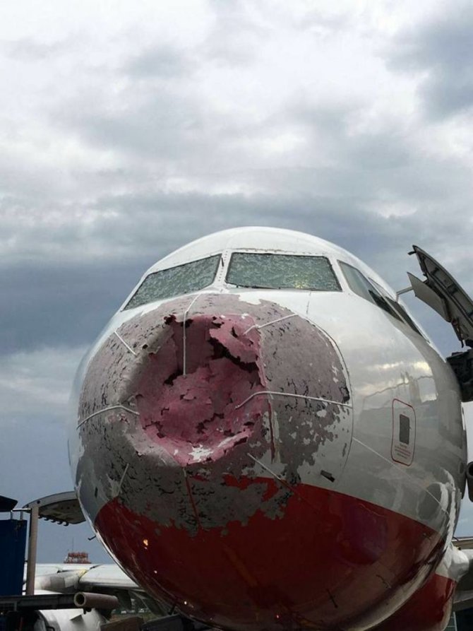 facebook.com/oleg.lungul.96 nuotr./Kruša suniokojo visą lėktuvo nosį.