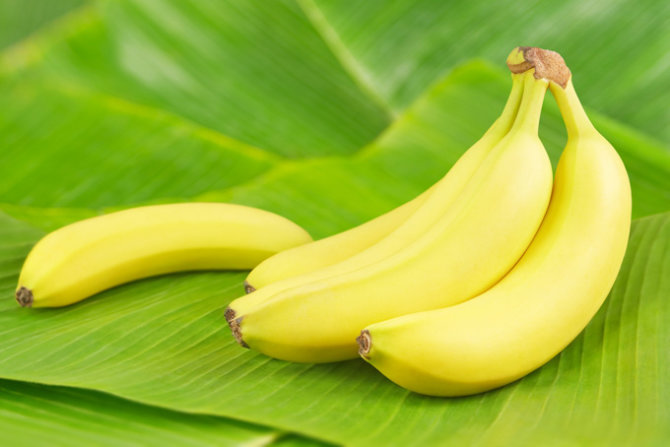 Fotolia nuotr./Bananai