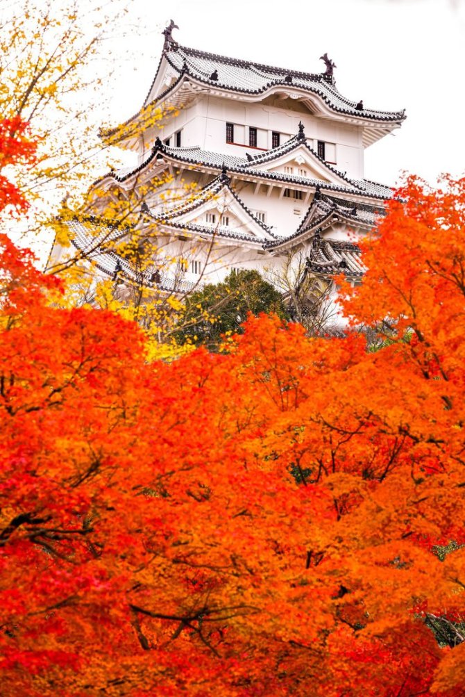 123rf.com nuotr./Himeji pilis rudenį
