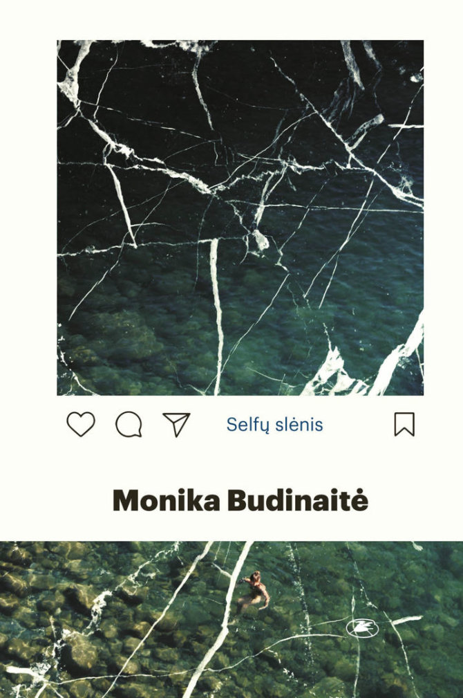 Knygos viršelis/Monika Budinaitė „Selfų slėnis“