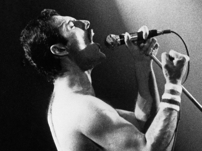„Scanpix“ nuotr./Freddie Mercury
