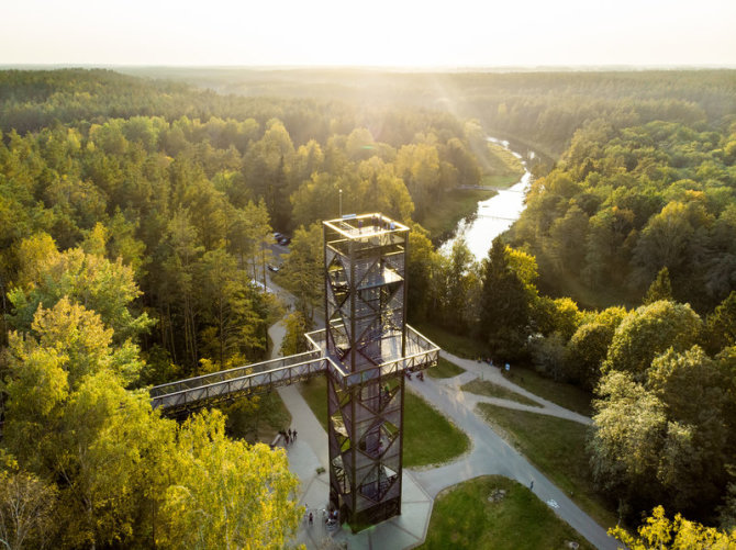 Shutterstock nuotr. / Medžių lajų takas