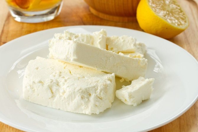 Indiškas sūris - panyras