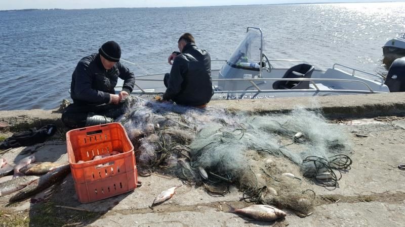 Aplinkos ministerijos nuotr./Brakonieriai ramiai, vidury dienos traukė žuvis iš tinklų prie Ventės rago ir nepaisė nei praeivių, nei inspektorių.