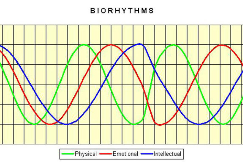 Bioritmai