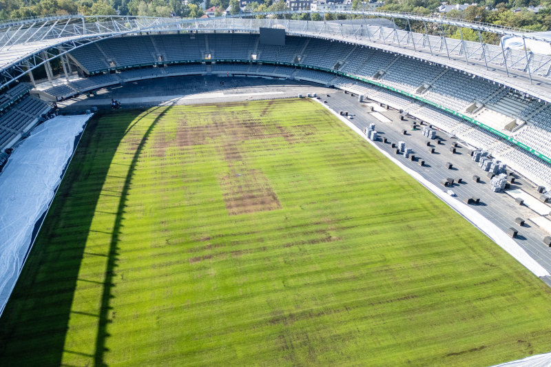 Dariaus ir Girėno stadiono veja