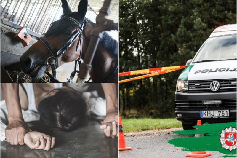 Lietuvos jojikui – teismas dėl 20-metės raitelės išžaginimo garsaus verslininko žirgyne