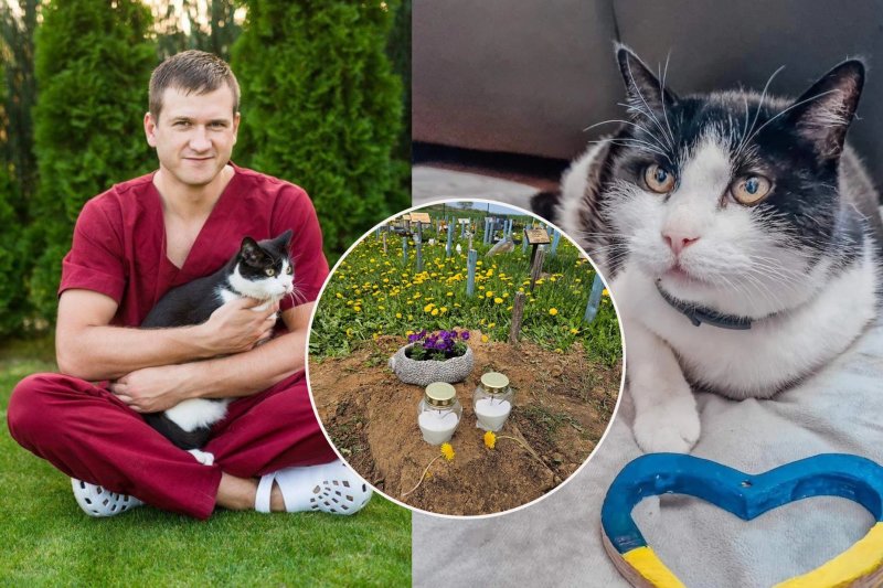 „TV gelbėtojas“ veterinaras P.Morkūnas gedi žuvusio 18-mečio Murkio: „Likimas viską sudėjo ne taip“