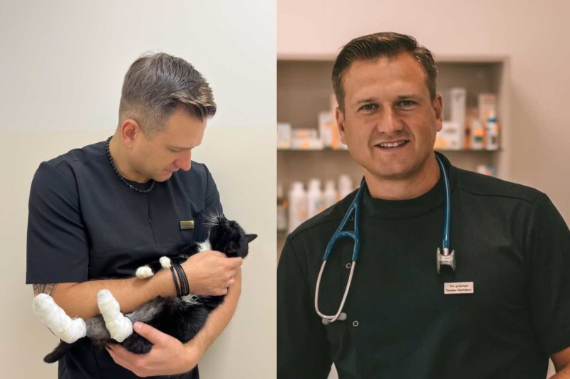 Veterinaro Pauliaus Morkūno katinas su liga gyveno 19 metų: jis įkvėpė ambicingam tikslui