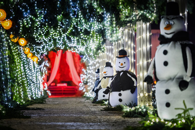  Pakruojo dvaro žiemos festivalio „Besmegenių vestuves“ atidarymas