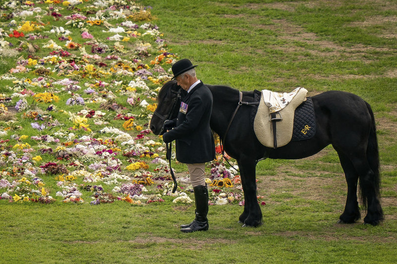 Elizabeth II laidotuvėse pagarbą atidavė jos augintiniai