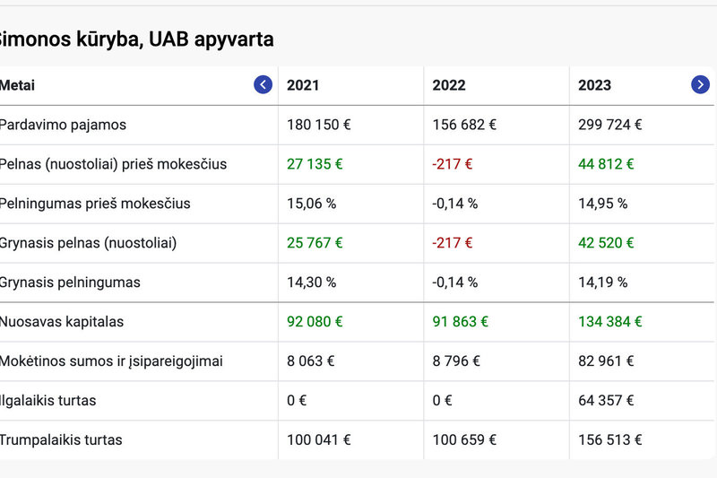 Simonos Nainės įmonės ataskaita