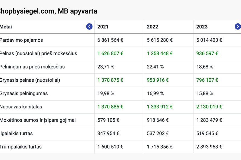 Viktorijos Siegel pateikta įmonės finansinė ataskaita