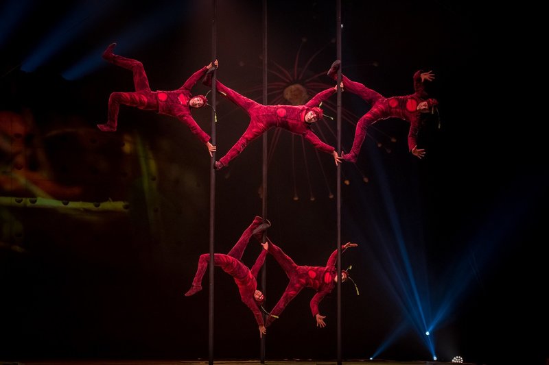 „Cirque du Soleil“ šou OVO premjera Vilniuje