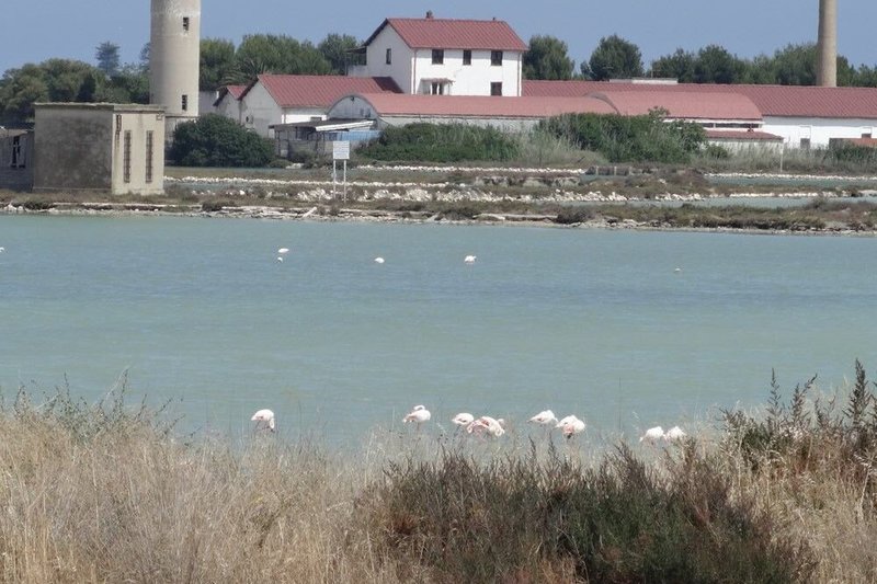 Eimučio Kvoščiausko atostogų akimirka Sardinijoje 